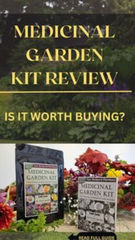 A Complete Natural Pharmacy in Your Backyard Nicole Apelian, Medicinal Herbs Garden, Medicinal Garden, Herbal Plants, Skin Natural Remedies, Garden Kit, Healthy Garden, Garden Kits, Evening Primrose