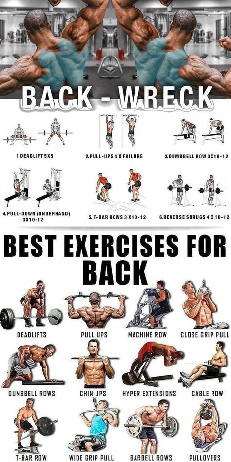 Follow these exercises for great gains #fit #fitness #fitnessmotivation #fitnessgoals #workout #backworkout #gym #gymlife #exercise #workoutmotivation Exercises For Back, Good Back Workouts, Barbell Row, Chest Exercises, Muscle Building Workouts, Weight Training Workouts, Trening Fitness, Workout Chart, Mental Training