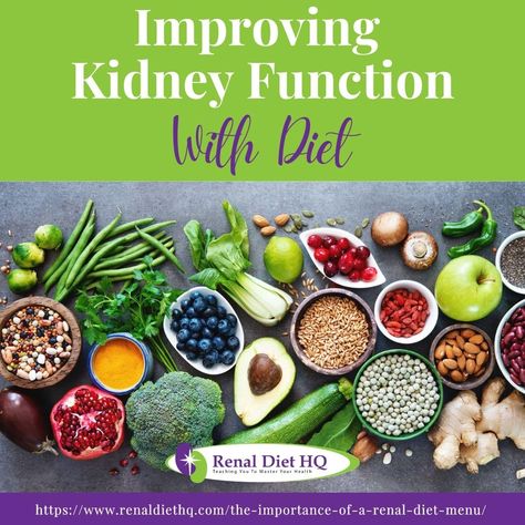 Improving Kidney Function With Diet - Renal Diet HQ How To Increase Kidney Function, Renal Diet Menu, Food For Kidney Health, Improve Kidney Function, Creatinine Levels, Kidney Recipes, Kidney Diet, Kidney Function, Renal Diet