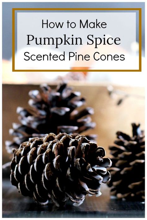 Diy Home Decor Kitchen, Scented Pine Cones, Paper Rabbit, Homemade Potpourri, Diy Cinnamon, Scented Pinecones, Pinecone Crafts Christmas, Potpourri Recipes, Diy Scent