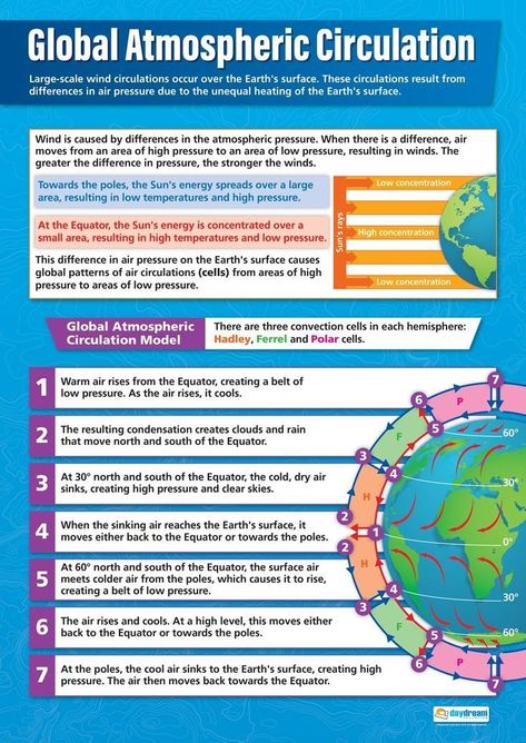 Circulation Model, Geography Revision, Atmospheric Circulation, Geography Classroom, Gcse Geography, Indian History Facts, Geography Lessons, Educational Infographic, Earth Surface