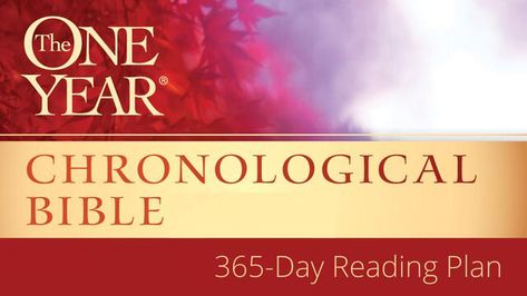 I just finished day 158 of the @YouVersion plan 'The One Year® Chronological Bible'. Check it out here: Chronological Bible Reading Plan, Bible In One Year, Chronological Bible, Moving Cross Country, Devotional Reading, Youversion Bible, Bible Devotions, Daily Reading, Bible Reading