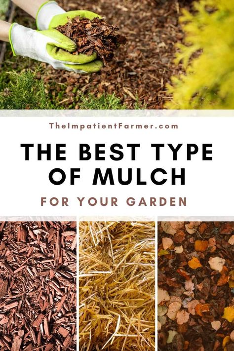 Mulch In Vegetable Garden, Mulching Vegetable Garden, Best Mulch For Landscaping, Best Mulch For Vegetable Garden, Garden Mulch Ideas, Vegetable Garden Mulch, Mulch Garden, Leaf Mulch, Pinterest Collage