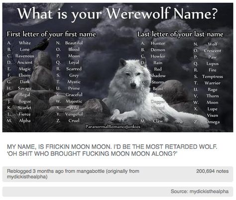 Every time there is one of these what would your ________ name be, mine is stupid, but behold my werewolf name- beautiful rage! Boom! Werewolf Name, Moon Moon, Kitten Gif, Funny Tumblr Posts, A Wolf, Dog Names, Tumblr Funny, Tumblr Posts, I Laughed