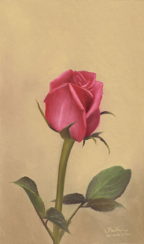 Pink Rosebud Acrylic Painting Ideas For Beginners, Easy Acrylic Painting Ideas, Acrylic Painting Ideas, Painting Ideas For Beginners, Watercolor Mixing, One Rose, Simple Acrylic Paintings, Rose Bud, Realistic Paintings