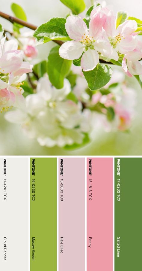 Spring Pastel Color Palette, Spring Pallete Color, March Color Palette, Spring Color Combinations, Color Palette Pantone, Pantone Color Palette, Color Palette Spring, Warm Spring Color Palette, Spring Pantone