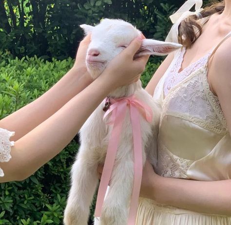 Baby Goat, Baby Goats, Pretty Animals, Spring Aesthetic, Farm Girl, Marie Antoinette, Mode Vintage, Cute Little Animals, Soft Girl