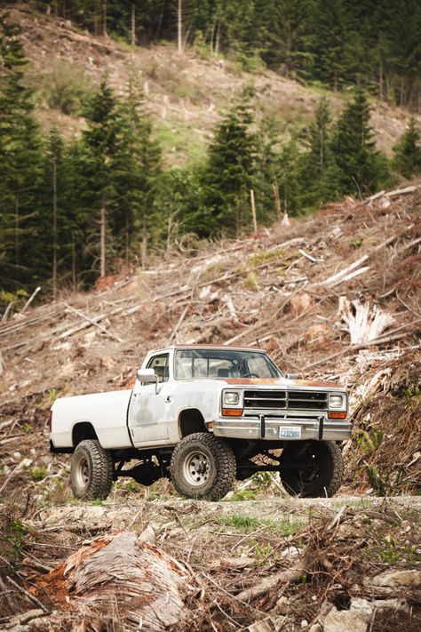 Classic Truck Wallpaper, Old Diesel Trucks, 1990 Dodge Ram Truck, First Gen Dodge Cummins, Dodge Truck Aesthetic, 1st Gen Dodge, 1st Gen Cummins, Dodge Cummins Diesel, Trucks Dodge