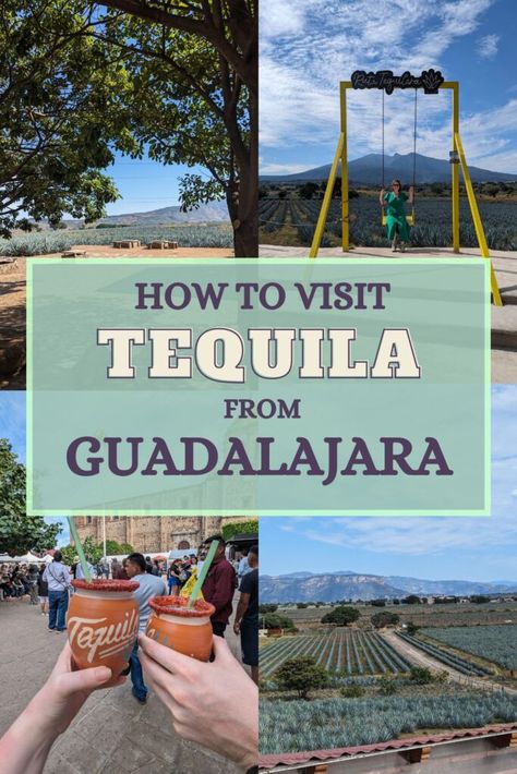 Tequila Tour Tequila Mexico, Tequila Jalisco, Lime Drinks, Travel Mexico, Tequila Bottles, Beautiful Town, Agave Plant, Visit Mexico, Party Venues