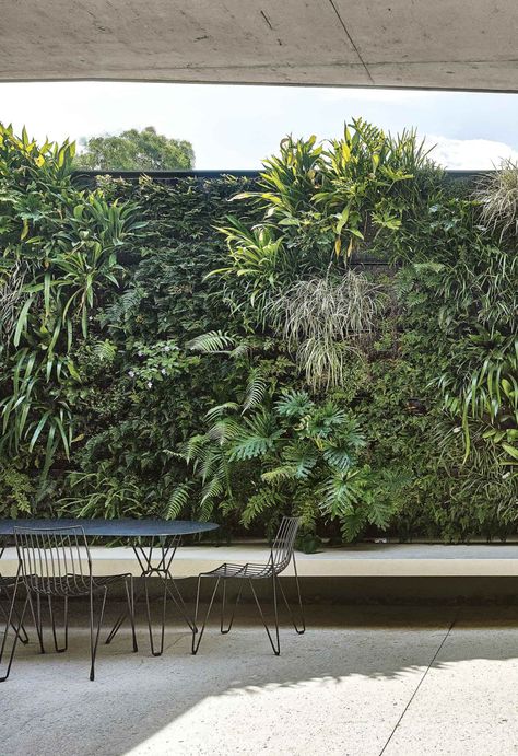 If you have limited outdoor space, don’t assume that you’re relegated to a few pot plants. A vertical garden may be the perfect solution. Vertical Garden Design Interiors, Vertical Green Wall Outdoor, Minimalist Backyard, Green Wall Plants, Green Wall Garden, Vertical Green Wall, Country Garden Design, Portable Garden, Vertical Garden Design