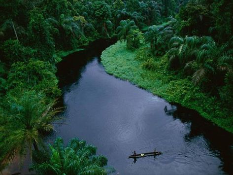 Congo Rainforest, Congo River, Deep River, Asia Tenggara, Democratic Republic Of The Congo, Air Terjun, Forest Pictures, Nikola Tesla, Tropical Rainforest