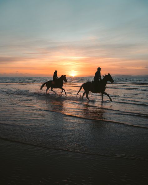 Horseback Riding Aesthetic, Horse Couple, Horse Riding Aesthetic, Foto Cowgirl, Drømme Liv, Equestrian Aesthetic, Cute Horse Pictures, Rasy Koni, Horse Wallpaper