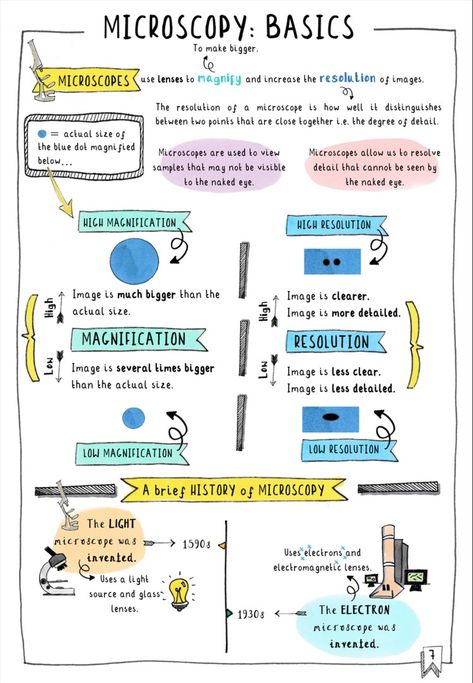 Get your FREE GCSE Biology Revision notes on microscopy. These colourful sketchnotes are a sample of Doctor Me Clever's guide to Edexcel 9-1 GCSE Biology Topic 1 Key Concepts in Biology. Now available as an ebook (doctormeclever.com) or paperback on amazon. #edexcel #aqa #biology #microscopy Gcse Science Revision, Future Healthcare, Biology Poster, Healthcare Infographics, Science Revision, Biology Revision, Health Marketing, Health Economics, Health Infographics