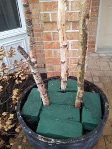 This is not how I do it but everyone should do this kind of thing in the cold months!!! It's really brightens up your pots!! Porch Pot Ideas, Winter Christmas Decorations, Outdoor Holiday Planters, Outdoor Christmas Planters, Christmas Urns, Holiday Planter, Winter Planter, Christmas Planters, Winter Porch