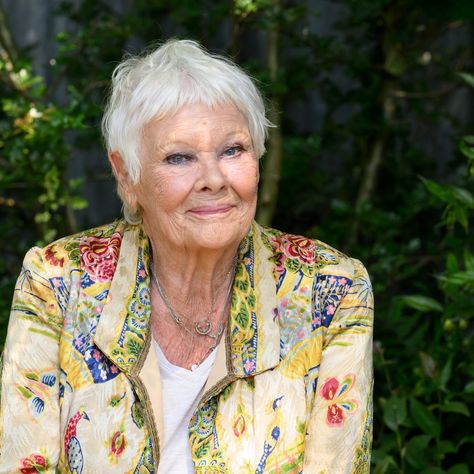 ‘I can’t even see’: Judi Dench suggests retirement from acting due to blindness Barbara Flynn, Altered Photo, Judi Dench, Academy Award Winners, Travel Money, Acting Career, John Cena, Tv On The Radio, I Cant Even