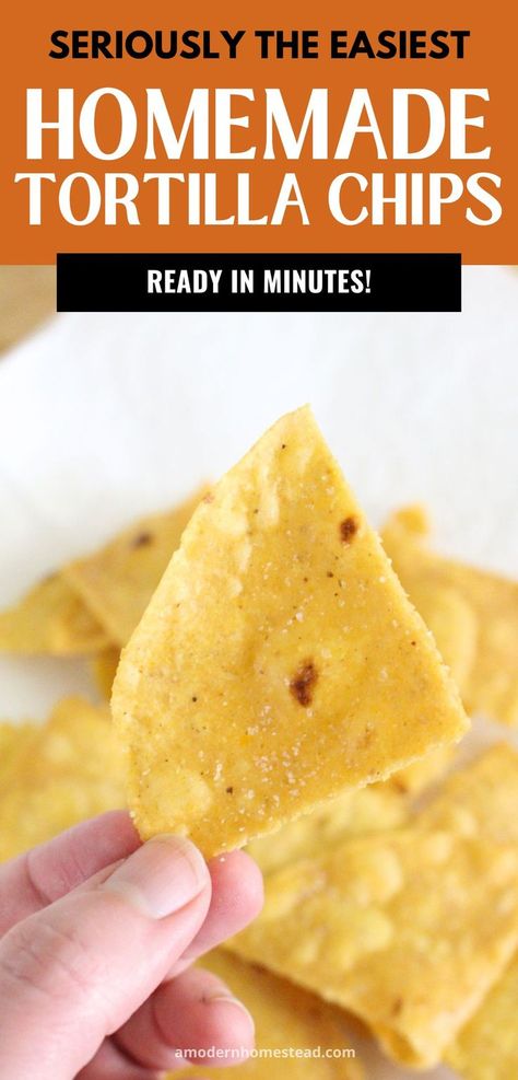 pile of freshly fried homemade corn tortilla chips on a plate. A mason jar of red berries in the background with text that says seriously the easiest homemade corn tortilla chips ready in minutes. Homemade Corn Tortilla Chips, Corn Taco, Homemade Tortilla, Homemade Corn Tortillas, Homemade Tortilla Chips, Meal Options, Corn Tortilla Chips, Homemade Lunch, Corn Tortilla