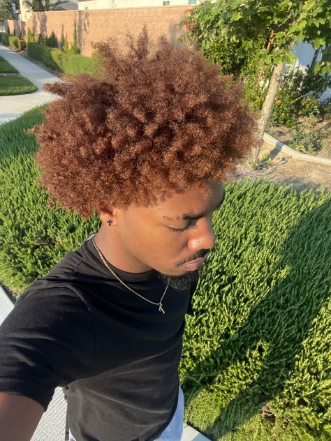 Frank Ocean Hair Color, Men Honey Blonde Hair, Hair Dye Ideas For Afro, Dark Honey Blonde Hair Color, Brown Hair Men Black, Ginger Cornrows Men, Honey Gold Brown Hair, Brown Dyed Hair Men, Dyed Afro Men