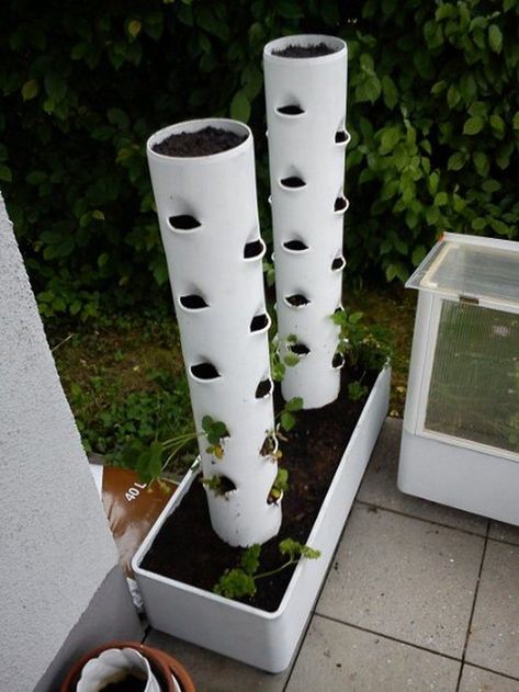 Vertical Planter Diy, Vertikal Garden, Vertical Vegetable Garden, Vertical Herb Garden, Vertical Garden Diy, Vertical Planter, Bottle Garden, Hydroponic Gardening, Diy Planters