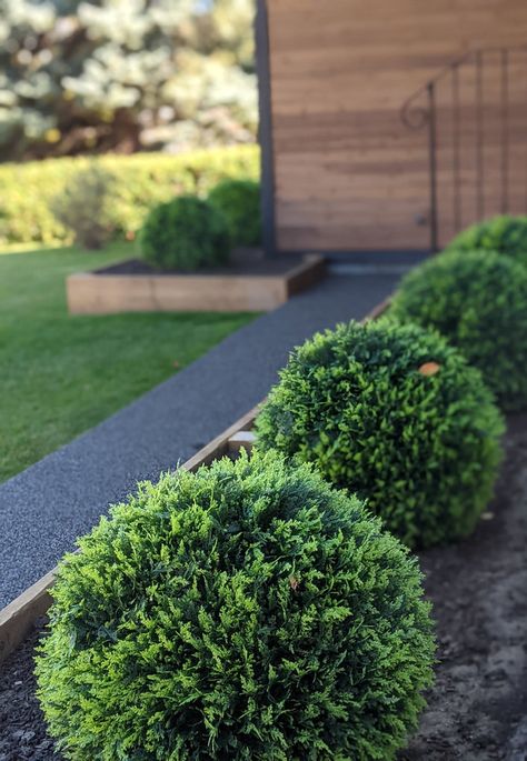 How to Attach topiary balls to the ground Topiary Balls, Artificial Topiary, Boxwood Topiary, Artificial Boxwood, Garden Projects, Yard, Wood, Quick Saves