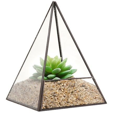 Terrarium Stand, Glass Pyramid, Plastic Planter Boxes, Plant Terrarium, Decor Plants, Succulent Terrarium, Glass Terrarium, Faux Succulents, Glass Boxes