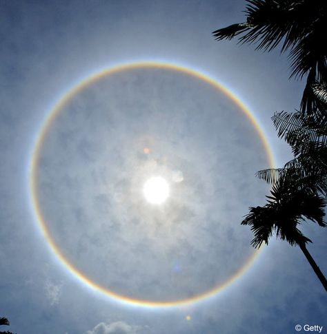 Sky Gazing, Circle Rainbow, Sun Dogs, Wild Weather, God's Promise, Fire Rainbow, Atmospheric Phenomenon, Natural Phenomena, Over The Rainbow