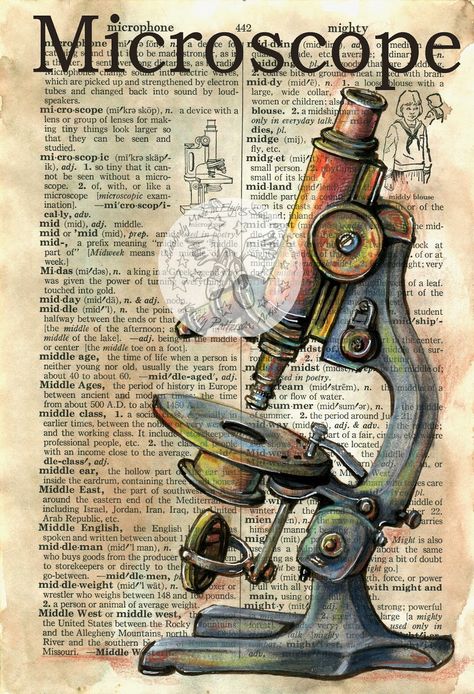 flying shoes art studio: MICROSCOPE Book Definitions, Mixed Media Drawing, Media Drawing, Journal D'art, Shoes Art, Newspaper Art, Book Page Art, Dictionary Page, Dictionary Art