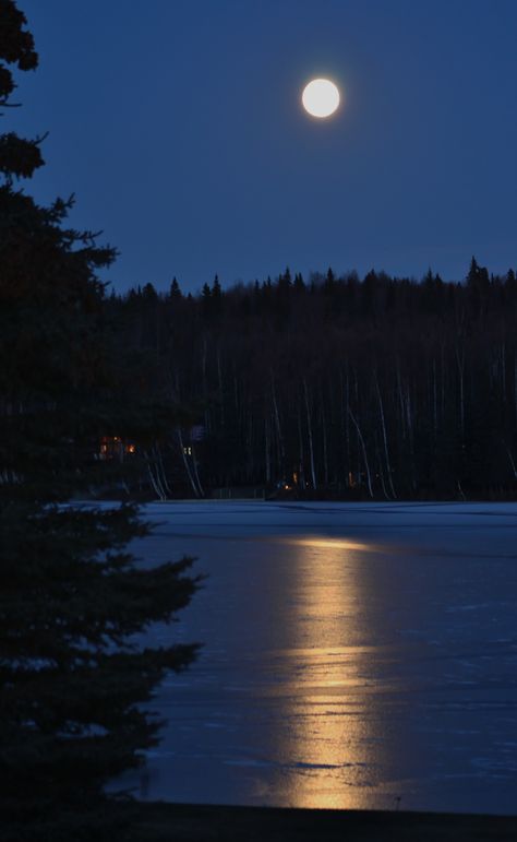 Moonlit night on a frozen Seymour Lake. Photo by Cheryl Grogan Moonlit Forest Aesthetic, Night Time Forest Aesthetic, Ice Lake Aesthetic, Moonlit Aesthetic, Night Lake Aesthetic, Lake At Night Aesthetic, Frozen Lake Aesthetic, Lakestone Aesthetic, Lakes At Night