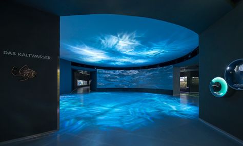 3XN: blue planet aquarium open to the public Blue Planet Aquarium, Planet Pictures, Ceiling Projector, The Blue Planet, Water Effect, Blue Planet, Aquarium Design, New Museum, Northern Europe