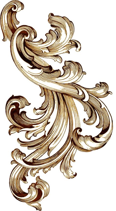 Filigree Outline, Baroque Filigree, Filigree Tattoo, Ornament Drawing, Pola Bordir, Výtvarné Reference, Baroque Ornament, Ornamental Tattoo, Collage Art Projects