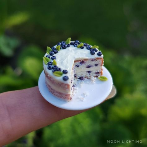 Variations on a theme, miniature polymer clay blueberry and lemon cakes. . . . . . . . #polymerclayfood #polymerclay #blueberries #lemons #blueberryandlemon #miniaturefood #112thscalefood Clay Blueberry, Polymer Clay People, Miniature Food Tutorials, Lemon Cakes, Miniture Food, Clay Cake, Miniature Polymer Clay, Polymer Clay Miniature, Polymer Clay Cake