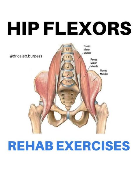 Dr. Caleb Burgess DPT OCS CSCS on Instagram: "💥Hip Flexors💥 🚨 𝗠𝘆 𝗔𝗣𝗣 is 𝗟𝗜𝗩𝗘! ➡️ tap on the link at the top of my page @dr.caleb.burgess for your 𝟳-𝗗𝗔𝗬 𝗙𝗥𝗘𝗘 𝗧𝗥𝗜𝗔𝗟! 🎯 The hip flexors are a group of muscles located in the front of the hip that work together to flex the hip joint, or bring the thigh towards the torso 🚶🏼 The primary functions of the hip flexors include: 1️⃣ Walking and running: they lift the leg forward during the swing phase of gait, which is essential f Snapping Hip Syndrome, Hip Anatomy, Yoga Inspiration Poses, Hip Flexor Pain, Free Weight Workout, Hip Flexor Exercises, Yoga Inspiration Quotes, Hip Flexor Stretch, Yoga Poses Advanced