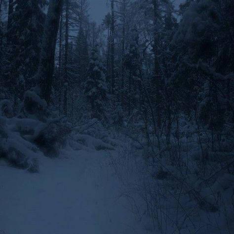 Cyberia Aesthetic, Bluish Gray Aesthetic, Dark Weather, Aesthetic Snow, 2k Wallpaper, Blue Aesthetic Dark, Dark Christmas, Snowy Forest, Blue Winter