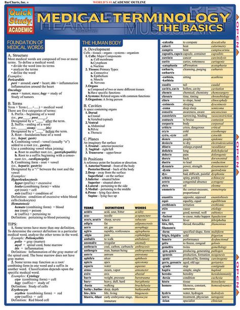 Free 2-day shipping on qualified orders over $35. Buy Medical Terminology: The Basics at Walmart.com Medical Terminology Study, Medical Words, Medical Books, Medical Billing And Coding, Medical Terminology, Medical Coding, Pre Med, Medical Laboratory, Medical Terms