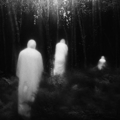 Dark Forest Creatures, Medium Aesthetic Ghost, Forest Spirit Aesthetic, Ghost In Forest, Forest Ghost, Ghost Forest, Poetic Photography, Shadow Spirit, Ghost Spirit