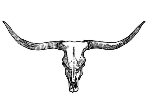 Steer Skull Tattoo, Longhorn Skull Drawing, Longhorn Svg, Bulldogge Tattoo, Longhorn Tattoo, Cow Skull Tattoos, Bull Skull Tattoos, Cowgirl Tattoos, Cowboy Tattoos