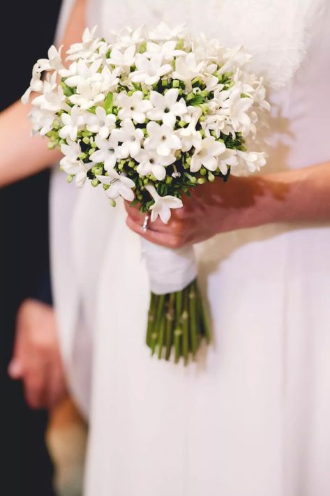 Jasmine Flowers Jasmine Flower Wedding, Flower Girl Tiara, Jasmine Wedding, Flower Wedding Ring, Jasmine Bridal, Jasmine Plant, Beautiful Bridal Bouquet, Jasmine Flower, Wedding Dress Pictures