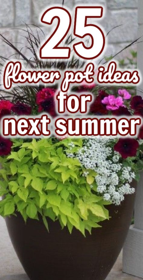 Here are over 25 beautiful planter ideas! I love looking at what other people have done to inspire me. Different colors, textures and even containers give me ideas for my own flower pots! Flowers Pots Ideas Outdoor, Easy Flower Pots Arrangements, Outdoor Flower Pot Ideas Diy, Summer Flower Pots Porches, Flower Pot Container Ideas, Mixed Flower Pots Ideas, Container Planter Ideas, Sun Loving Flowers Pots, Flower In Pots Outside Planters