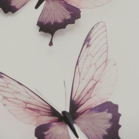 Not Mine, Butterflies, Purple, White, Color