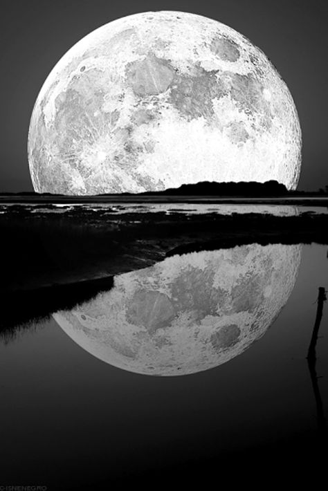 FOTOS EN BLANCO Y NEGRO..❤ You Are My Moon, Shoot The Moon, Image Nature, Moon Pictures, The Full Moon, Foto Art, Beautiful Moon, Black N White Images, White Picture