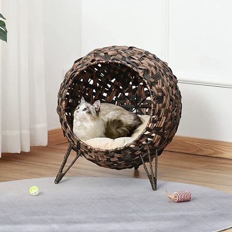 Elevated Cat Bed, Wicker Cat Bed, Pet Gadgets, Cat Egg, Kitten House, National Pet Day, Cat Basket, Cat Cave, Gorgeous Cats