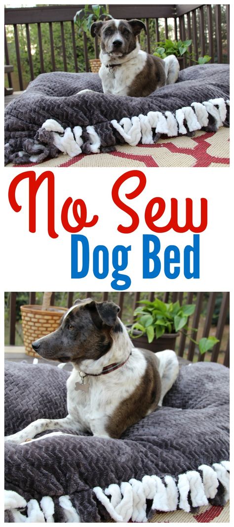 Cheap Dog Bed Ideas, Diy Dog Placemat, Simple Diy Dog Bed, Diy Dog Bed Pillow How To Make, How To Make A Dog Bed Out Of Pillows, Dog Bed Diy Easy, Diy Dog Pillow For Large Dogs, Diy No Sew Dog Bed, Dog Bed Ideas Diy Simple