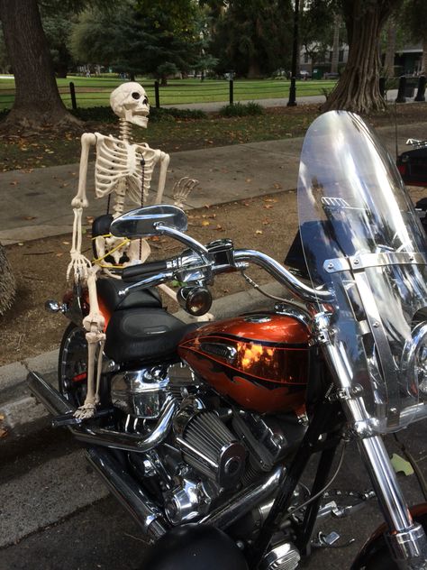 Skeleton goes for a ride Skeleton On Motorcycle, Skeleton Riding Motorcycle, Biker Skeleton, Skeleton Motorcycle, Riding Motorcycle, Anatomy, Skeleton, Bike, Quick Saves