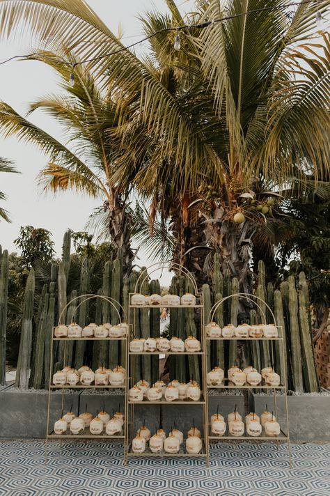 Tropical Outdoor Wedding, Jungle Luxury, Tulum Party, Treehouse Inspiration, Baja Wedding, Luxury Treehouse, Acre Baja, Tropical Bohemian, Tropical Outdoor