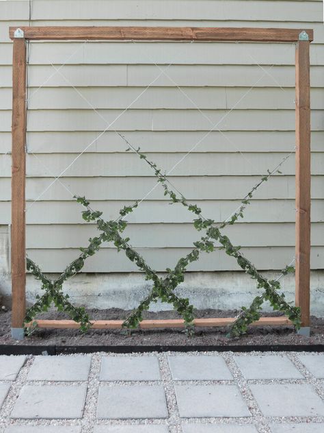 How To Make A Freestanding Diamond Trellis (with plans) — The Savvy Heart Plant Trellis Outdoor, Garden Trellis Ideas Diy Privacy Screens, Diamond Trellis Wall, Trellis Freestanding, Ivy Trellis Wall, Diy Trellis Wall, Free Standing Trellis, Freestanding Trellis, Outdoor Trellis Ideas