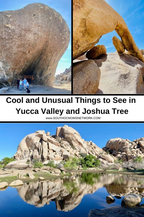 Grab the kids and get outside this Spring and see some cool and unusual things in Yucca Valley and Joshua Tree. #JoshuaTree #YuccaValley #PioneerTown Yucca Valley California, Yucca Valley, Whoop Whoop, Us Road Trip, Family Trips, Unusual Things, Joshua Tree National Park, Cool Things, Grumpy Cat