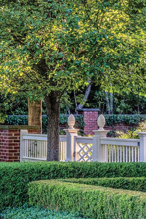 Estate Gates, Garden Gate Design, White Fence, Front Yard Fence, Modern Fence, Fence Landscaping, Up House, Shade Trees, Fence Gate