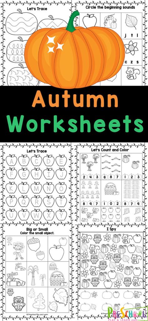 Make practicing math and litearcy skills fun for kids by using these free Autumn worksheets for preschoolers! These fall worksheet for preschool combine cute clipart with important pre-k skills for no-prep educational activities kids will beg to do! Cooking Class For Preschoolers, Fall Ideas For Kindergarten, Fall Graphing Preschool, Kindergarten Fall Worksheets Free Printables, Preschool Challenge Activities, Thanksgiving Prek Worksheets, October Preschool Worksheets Free, Fall Playdough Activities, Fall Worksheets For Kindergarten Free