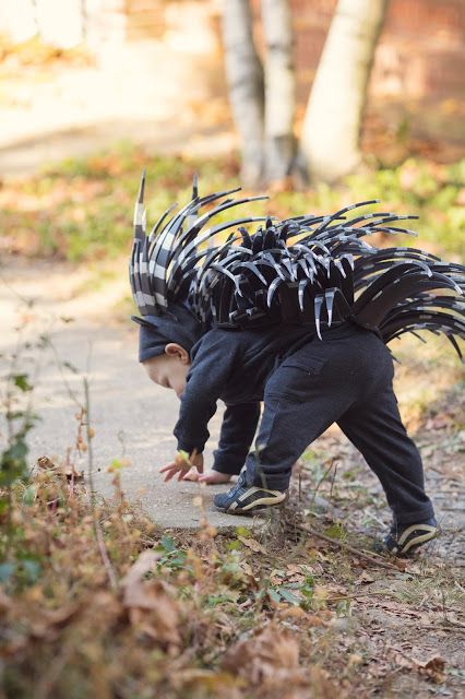 The Rynders - New York Edition: Baby Porcupine/Hedgehog Costume: How-To Porcupine Costume, Hedgehog Costume, Baby Porcupine, Easter Show, Cow Costume, Costume Inspo, Halloween Hats, Toddler Halloween Costumes, Toddler Costumes