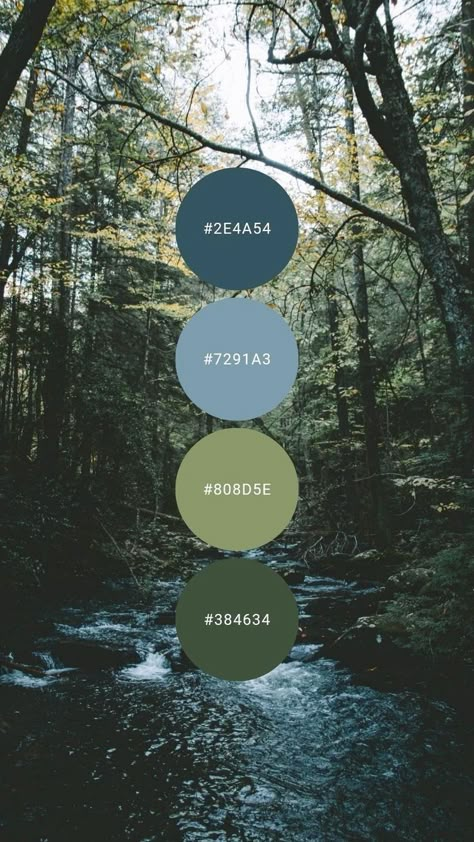 Green Color Combinations, Color Design Inspiration, House Color Palettes, Forest Color, Green Color Schemes, Color Schemes Colour Palettes, Green Palette, Nature Color Palette, Forest Green Color