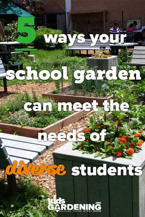 School Garden Club, School Greenhouse, Horticulture Therapy, Design A Garden, Eco Garden, Garden Activities, Sensory Garden, Green School, Natural Playground